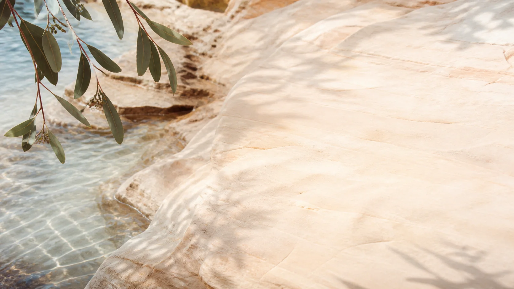 Coastal Organic theme illustrating an accessible Form303 guide